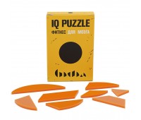 Головоломка IQ Puzzle Figures, круг